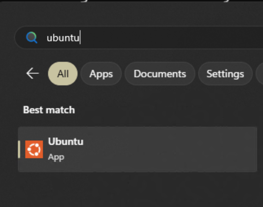 Chat Your Software into Existence: A Beginner's Guide to Codex CLI